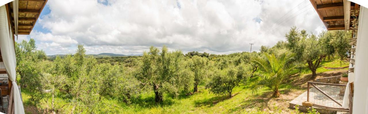 Hakuna Matata Holidays Wooden Lodge With Airco & Pool In Greek Olive Grove Methoni  Exterior foto